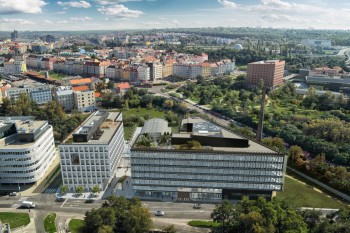 palmovka-open-park